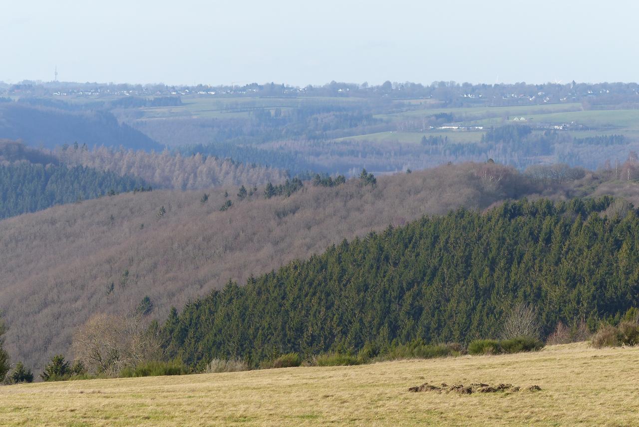 Chalets Am National Park Eifel Schleiden Dış mekan fotoğraf